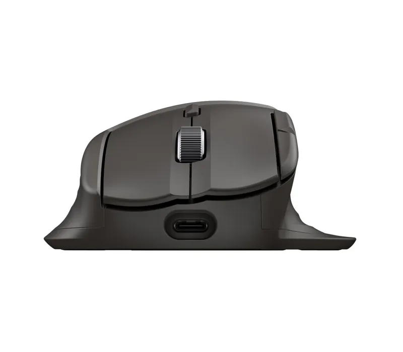 HP Ultra-Fast-Scroll Wireless Mouse 785M B8YX4AA